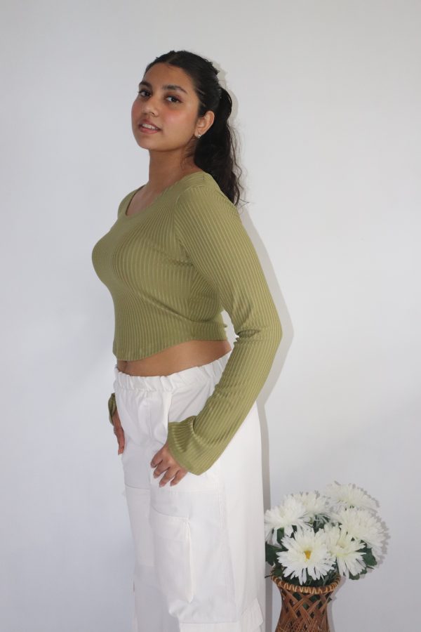 Lettuce Long Sleeve Crop